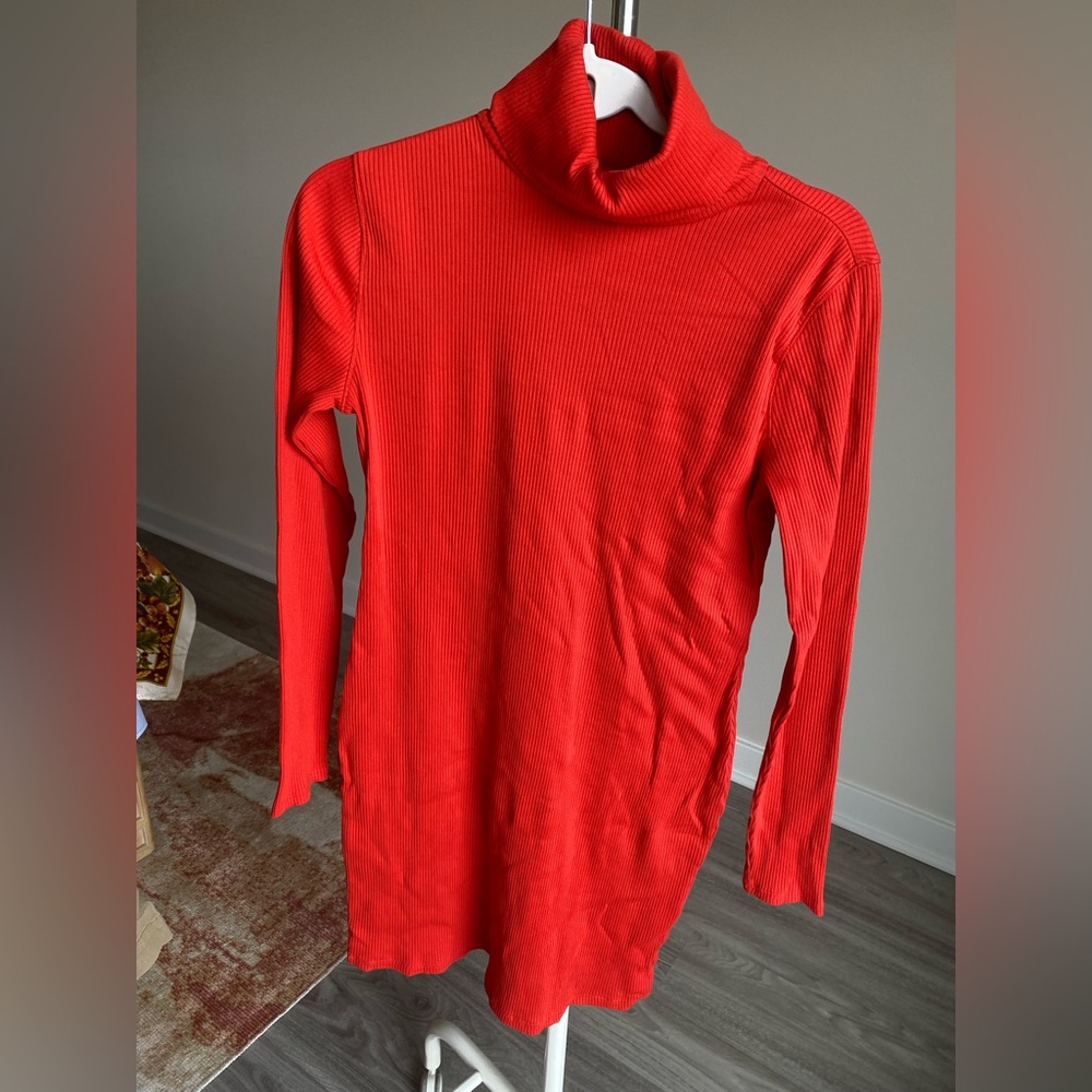 Wild Fable Turtle Neck Dress Size L